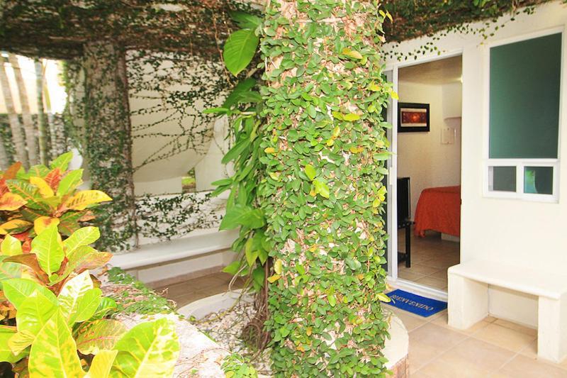 Bon Jesus Hotel La Vigueta Luaran gambar